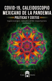 Covid-19, caleidoscopio mexicano de la pandemia