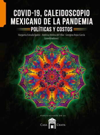 Covid-19, caleidoscopio mexicano de la pandemia
